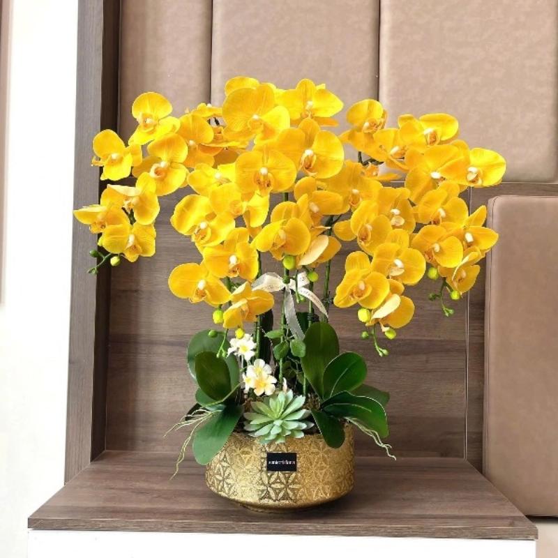 Chọn chậu lan hồ điệp đẹp với màu sắc và kiểu dáng hài hòa cùng không gian nội thất tạo điểm nhấn ấn tượng